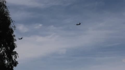Camo and Black Helicopters at Jaya?