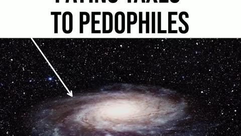 Politics - 2025 Real Truth You Are Here Paying Taxes To Liberal Globalist Commie Satanic Pedos