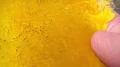 Underarm Waxing | Sexy Smooth Golden Allure Hard Wax | Watch the Perfect Pull by @elevateskincarespa