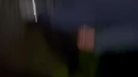 🚨 FIVE ILLEGAL MIGRANTS CAUGHT ON CAMERA COMING OUT OF THE BUSHES