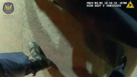 Phoenix Police Shoot Armed Suspect