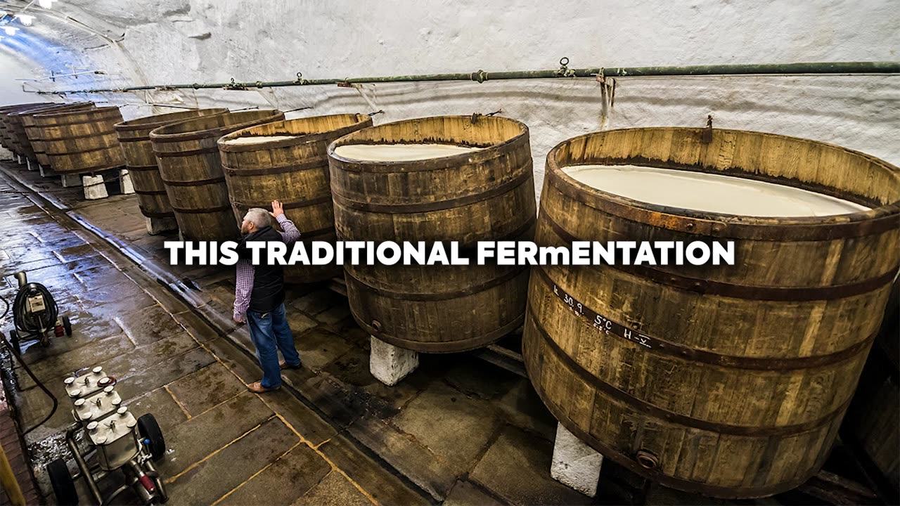 DON'T Drink These 8 Beer Brands (And 4 That Are Actually Safe)