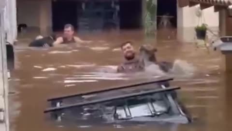 Let's help the voiceless