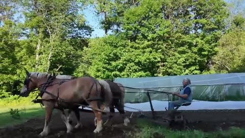 Life on the last traditional Vermont hill farm - Suzanne Lupien @ Harken Farm