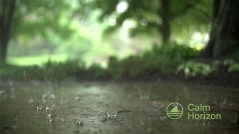 Rainy Day