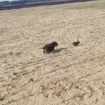 This is embarrassing 🤣