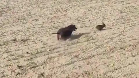 This is embarrassing 🤣