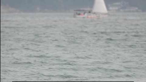 Daily Horoscope | Cancer 🌟