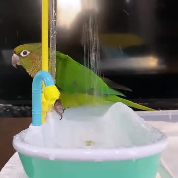 Morning shower getting ready for work