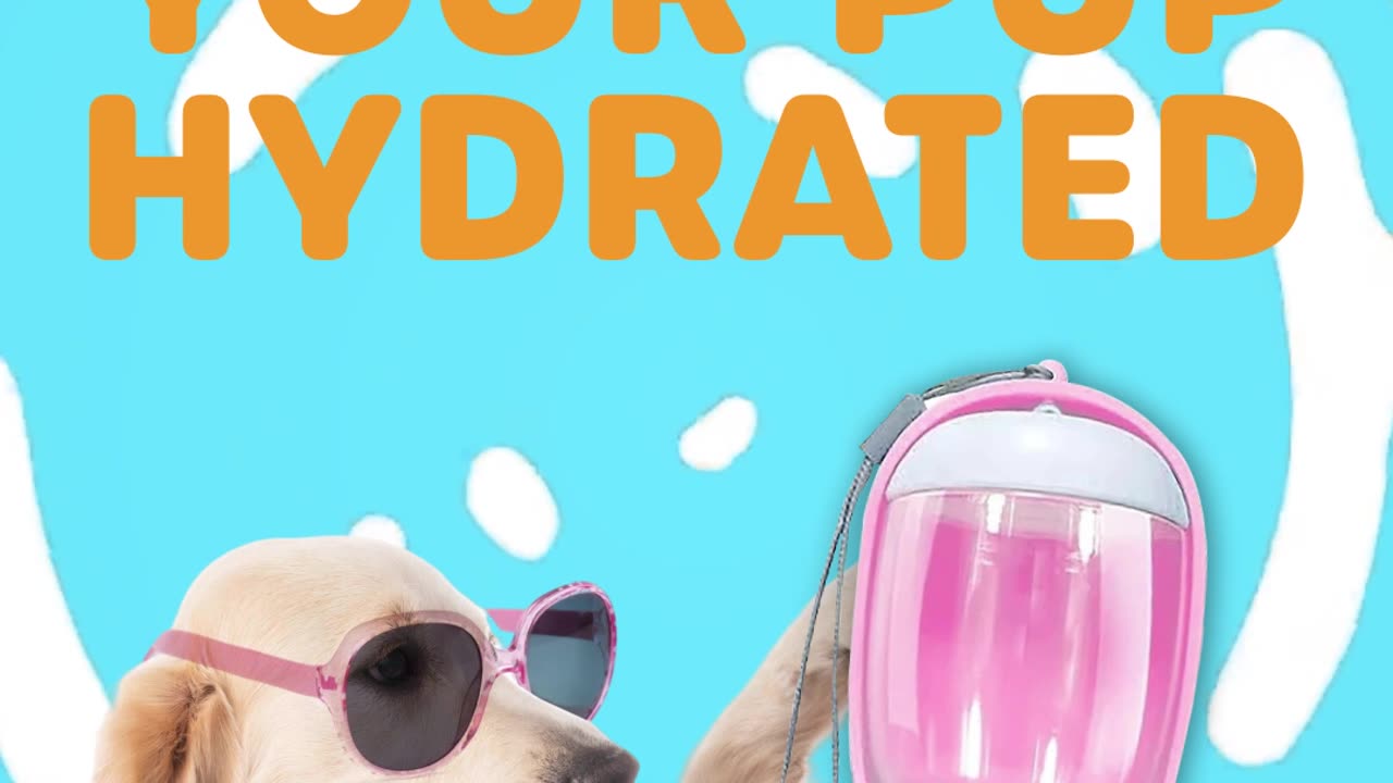Leak-proof water bottle