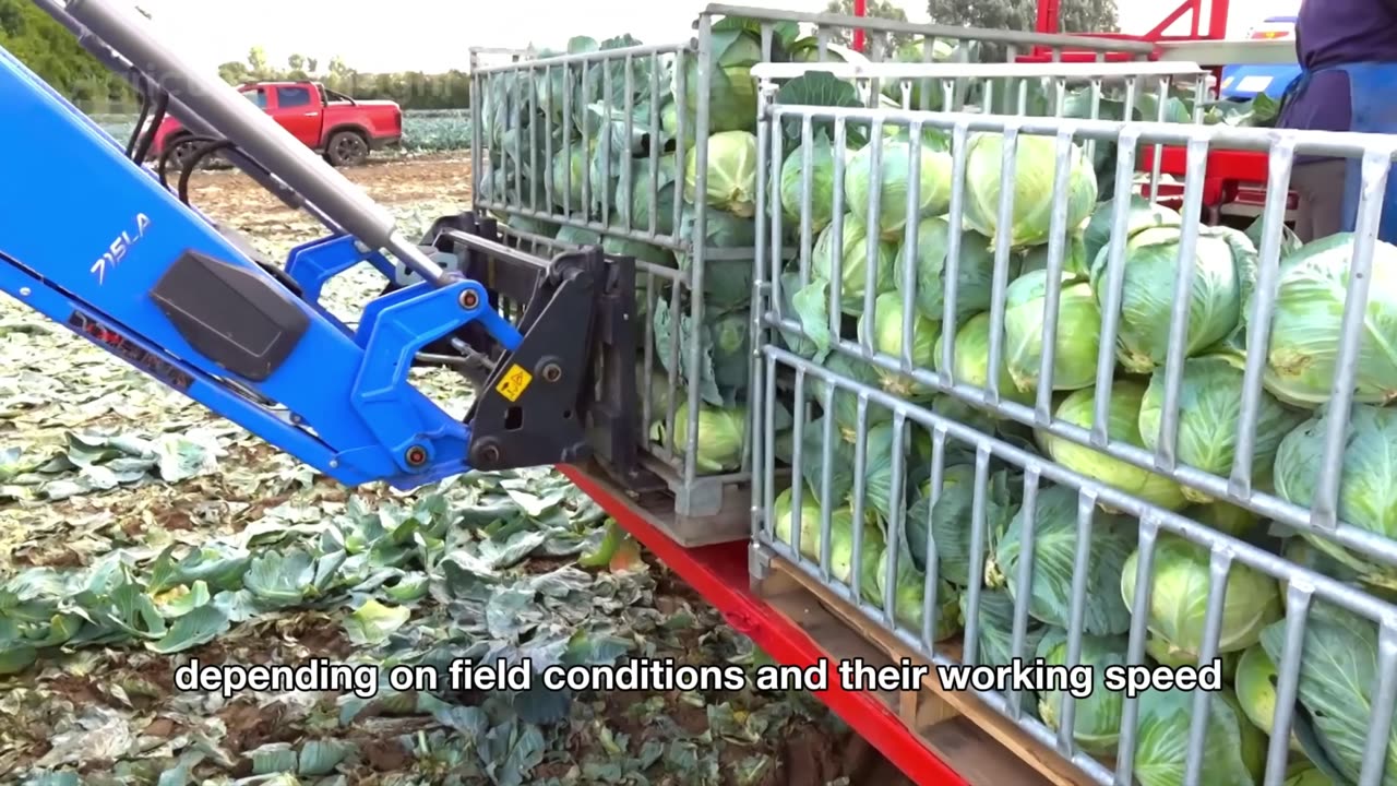 How MILLION TONS of Condensed Milk 🥫 Is Made | Massive Nestlé Factory Process Revealed!