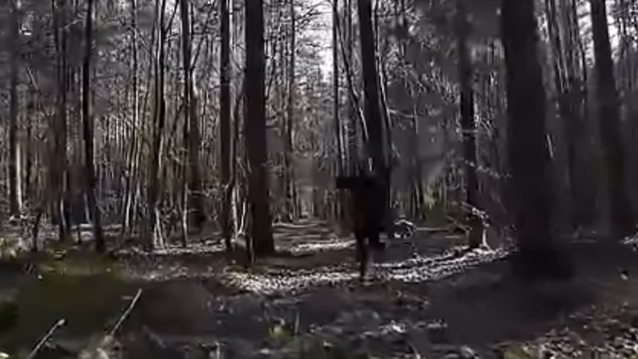 THE SPIRIT