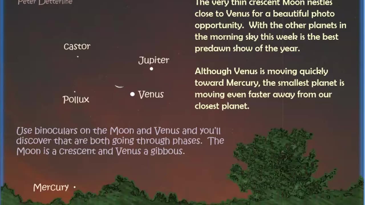 Night Skies for August 2025