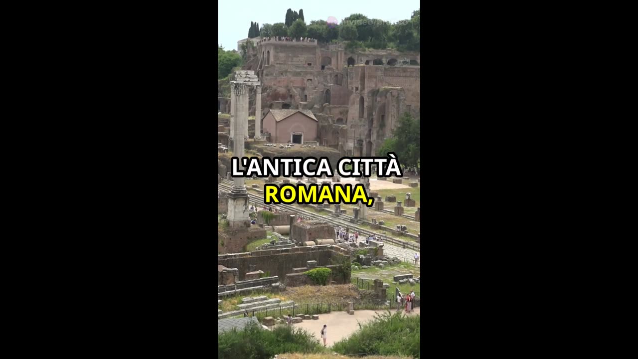 Scopri l'Antiquarium di Albintimilium
