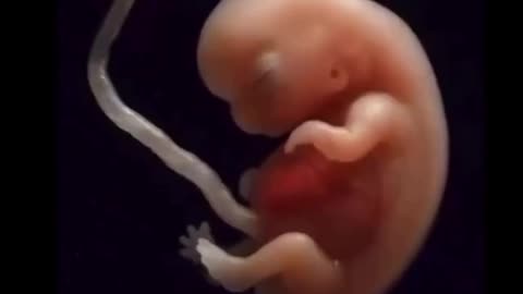 Life @Psalm 139:13-14