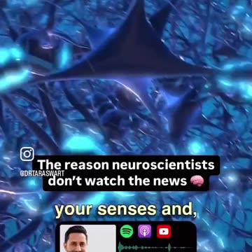 Take charge of your brain's 🧠 diet