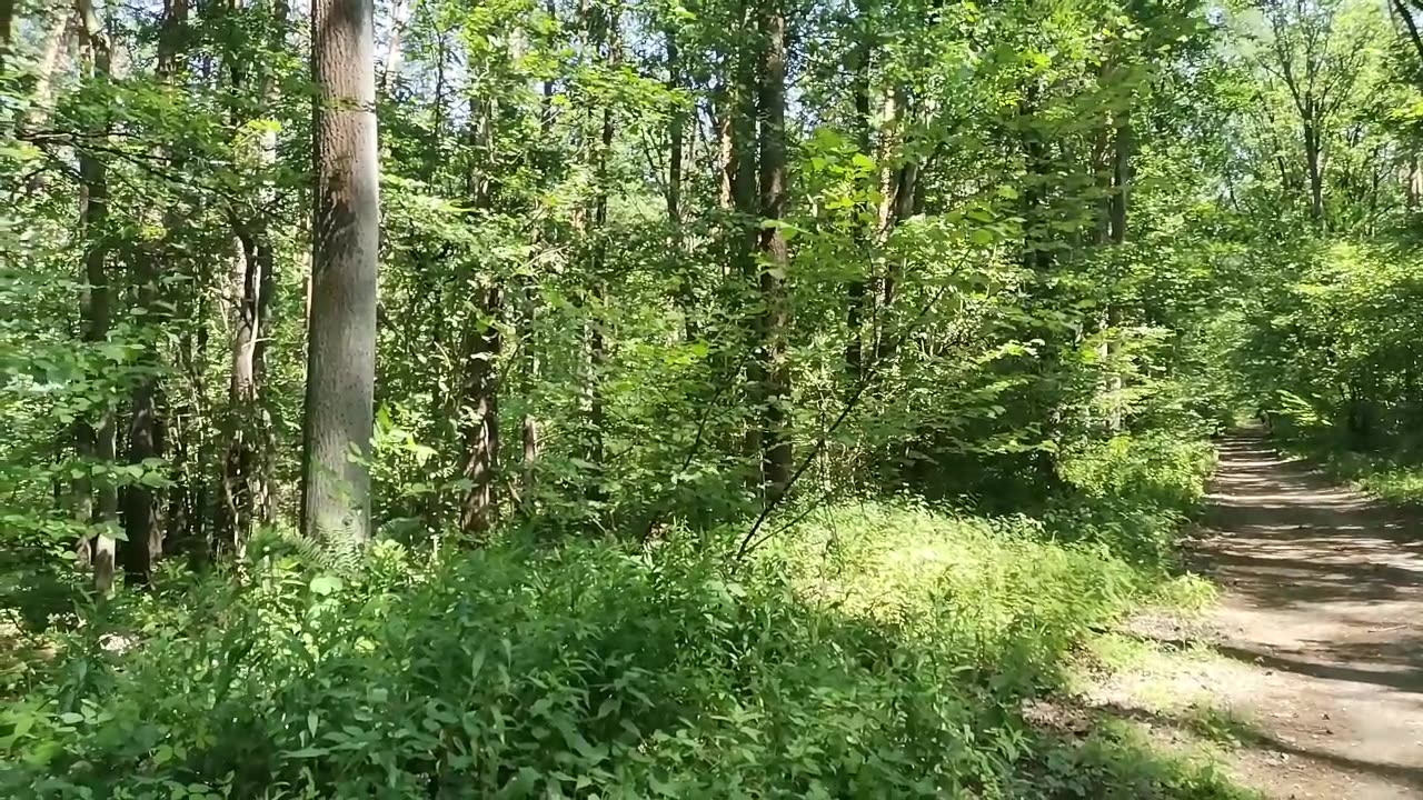 tacy jak ja ...