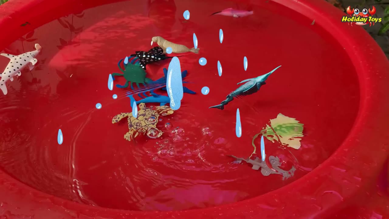 Turtles Dig White Sand to Lay Eggs in the Morning