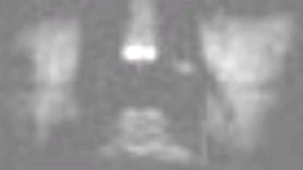 GUN LAWS IN ACTION - VOL. 510: THE MURDER OF MARY DAVIS