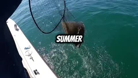 Big Fish. Tiny Boat. No Fear.