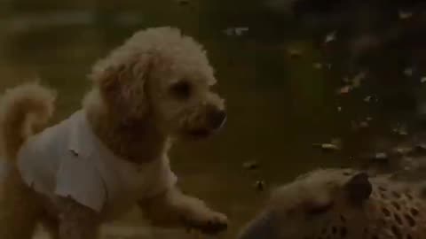 🐶Hero Dog Saves Capybara from Bees! 🐝💖 #doglover #heartwarming