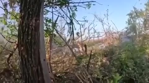 💣⚔️ Ukraine Russia War | Russian Soldier Throws TMK-2 Mine Into Ukrainian Trench | RCF