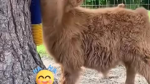 🥰🥹