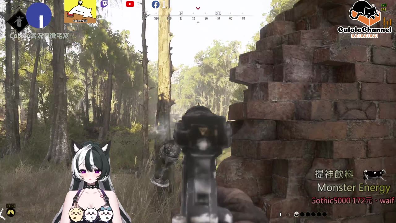 🌱vs🧟‍♀️ New version⭐新手向⭐🥺倉鼠系玩家🥺| 來聊天R ✨💎(๑˃̵ᴗ˂̵)و Culolo Channel(๑˃̵ᴗ˂̵)و 5 Taiwan優質台💎✨