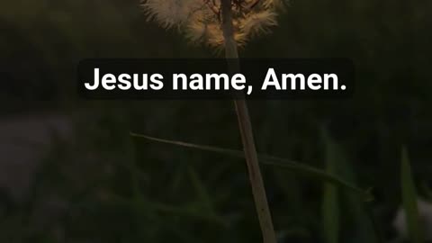 Feeling Overwhelmed? Find God's Peace | Powerful Prayer for Stillness #prayer #godspresence