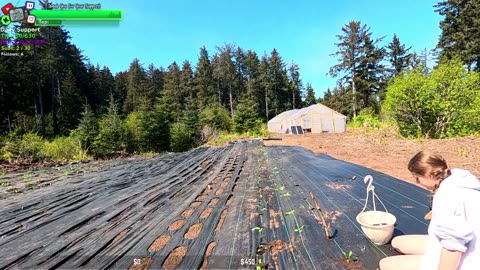 MEGA DAY AT THE FARMSTEAD, Gravel, New Chicks Hatched, BABY Bunnies, Plants | REMOTE ALASKA Farmstead !Isolated Village | !Real