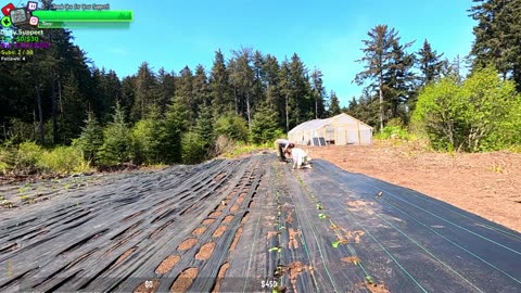 MEGA DAY AT THE FARMSTEAD, Gravel, New Chicks Hatched, BABY Bunnies, Plants | REMOTE ALASKA Farmstead !Isolated Village | !Real
