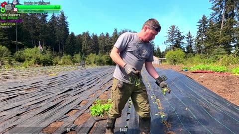 MEGA DAY AT THE FARMSTEAD, Gravel, New Chicks Hatched, BABY Bunnies, Plants | REMOTE ALASKA Farmstead !Isolated Village | !Real