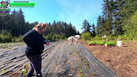 MEGA DAY AT THE FARMSTEAD, Gravel, New Chicks Hatched, BABY Bunnies, Plants | REMOTE ALASKA Farmstead !Isolated Village | !Real