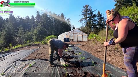 MEGA DAY AT THE FARMSTEAD, Gravel, New Chicks Hatched, BABY Bunnies, Plants | REMOTE ALASKA Farmstead !Isolated Village | !Real