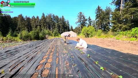 MEGA DAY AT THE FARMSTEAD, Gravel, New Chicks Hatched, BABY Bunnies, Plants | REMOTE ALASKA Farmstead !Isolated Village | !Real