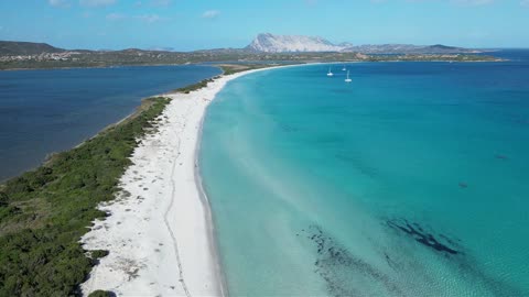 Island Bliss 🌴 Elegant Tropical Lounge & Chill House Vibes | New 2025 Release