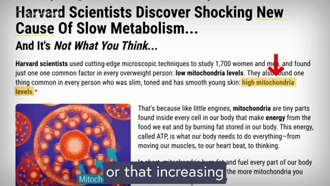 Mitolyn 2026 Update: Ingredients, Side Effects, and Real Customer Feedback