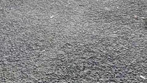 Joven Esther Mota Nicario