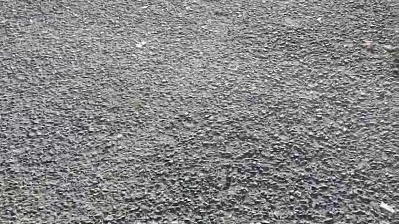 Joven Esther Mota Nicario