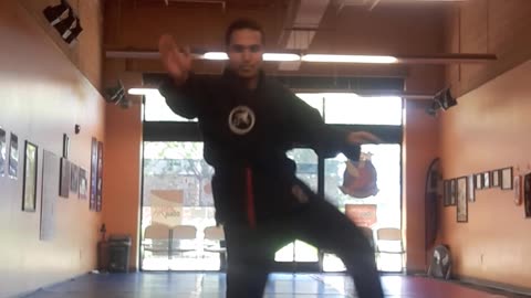 Tong Hap Kwan Hoshinsul/Hapkido & Chontu MuSul Class