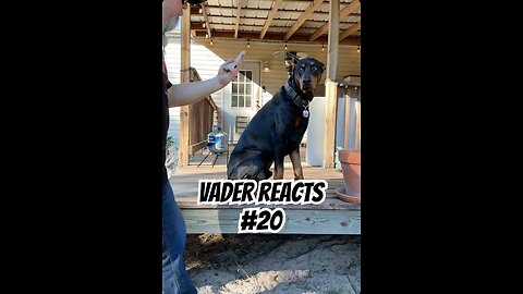 Vader Reacts #20: The Bicycle Joke Earned a Side-Eye