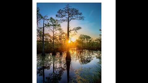Southern Talk With Dave in the AM