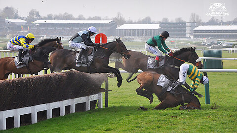 The World's most famous horse racing - PINEAU DE RE wins the Grand National