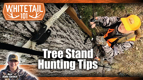 Learn How to Safely and Successfully Use a Tree Stand