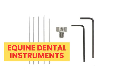Ultimate Guide to Finding Equine Dental Instruments – A Quick Checklist