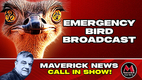 SPECIAL EMERGENCY BROADCAST: MISSING OSTRICHES! Where Are the Universal Ostrich Farm Ostriches?