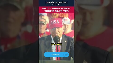UFC at White House? Trump says YES.