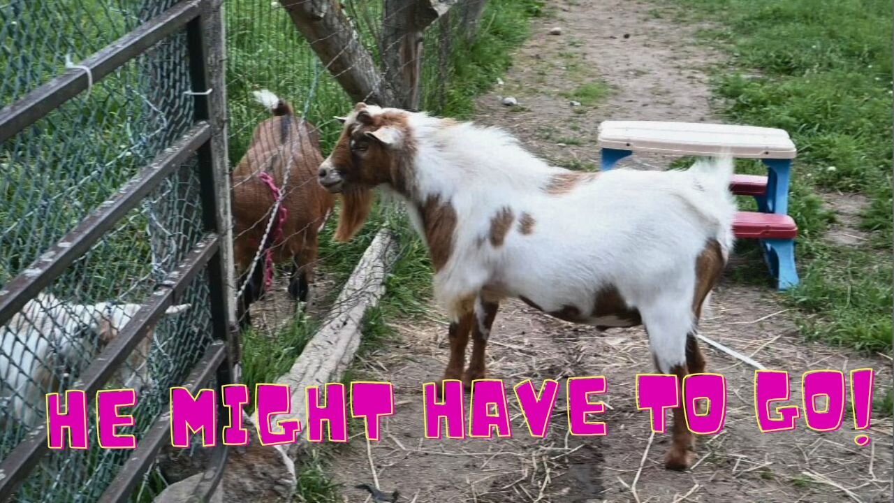 He might have to GO!