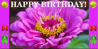 Happy Birthday 3D - Happy Birthday - Happy Birthday To You - Happy Birthday Song Video Card