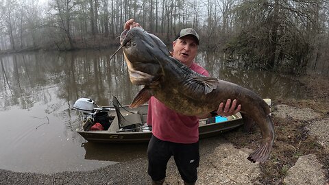 Flathead